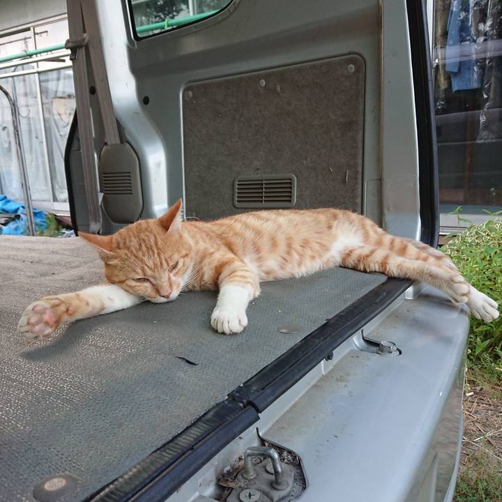 86e449e1 e4f0 49fb 9715 b91a7fe1efa1 1564998330422