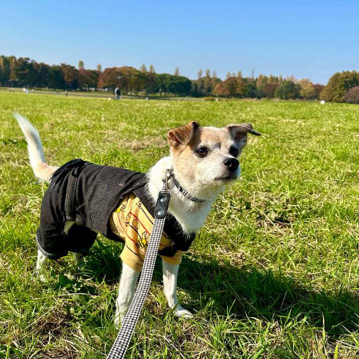 86e47d6d 6e8a 4843 aa12 6565177b2e84 1668225606129