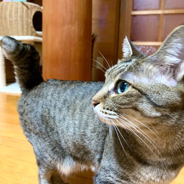 86e47ea8 85a9 4fc9 a55c d5749c2277a0 1589637534692