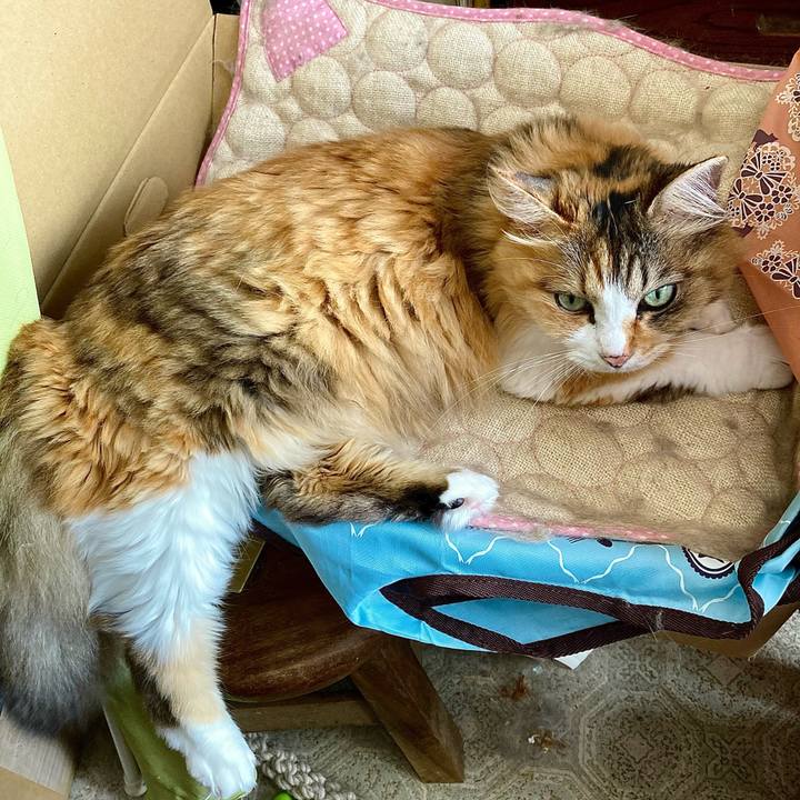 86e4adc7 c76e 4950 903b cfe0dfe53bd8 1661141844427