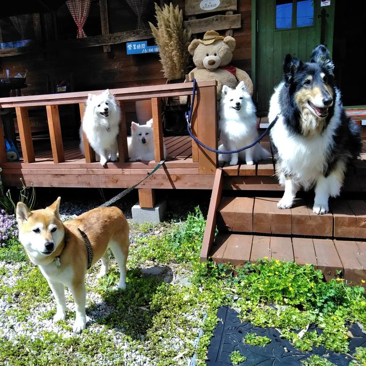 86e4b034 e922 48a6 ac89 9bc53c01d70f 1556452849051