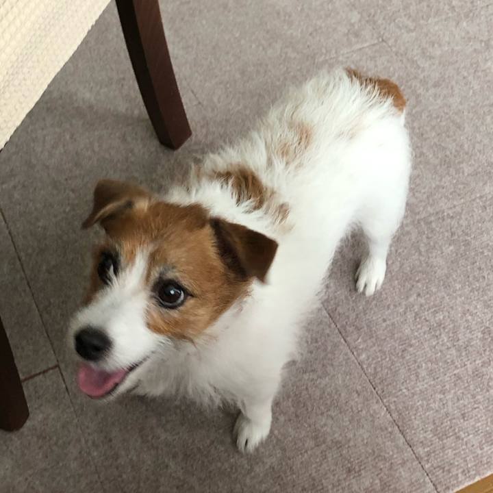 86e514f1 032f 479e a1c0 817ffa499084 1620116690782