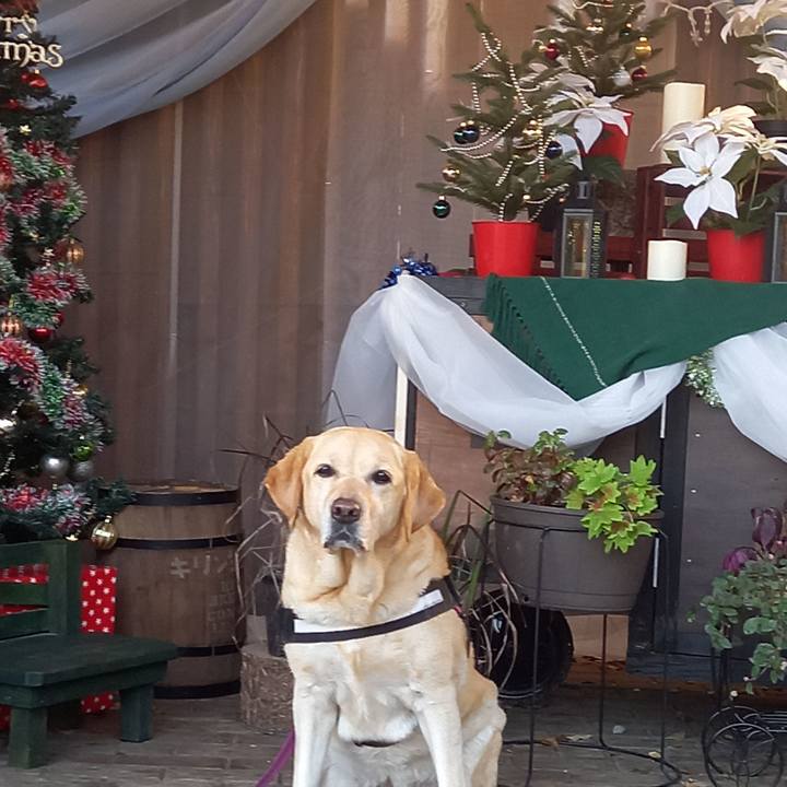 86e53c97 7e86 4428 95e4 d15df4e795a7 1607598069806