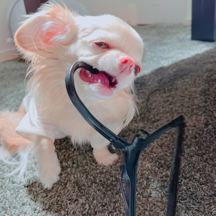 86e54186 5b42 429b b587 4aa0de8af4e3 1651987553250