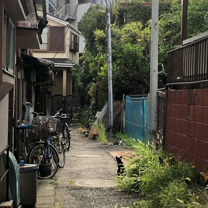 86e54527 f5f7 4088 9c3d a58171a0ae12 1599976740753