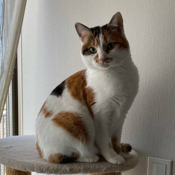 86e59fb2 5e70 4639 9d26 3dbcefbc81e9 1609640487310