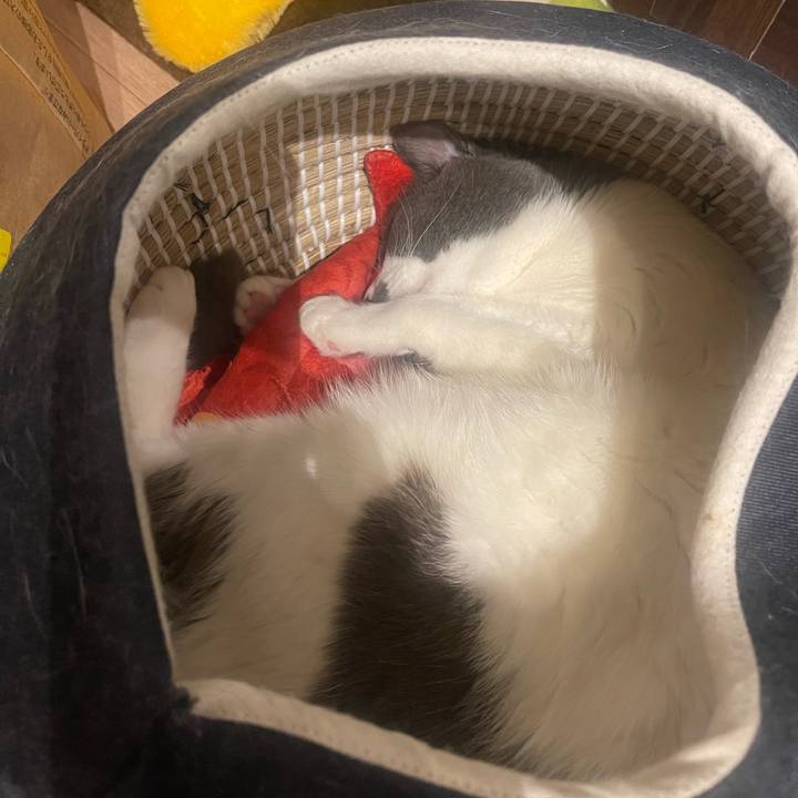 86e5b465 d7e2 4222 8771 023900bd1ae4 1718454282767