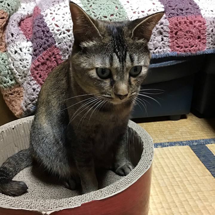 86e5baa8 5d6a 4de2 826c 615c2ba16cd1 1631267282549