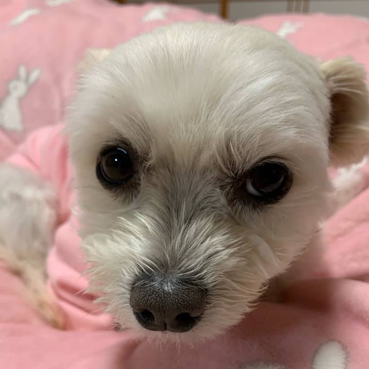 86e5cf93 bffb 4681 9a41 0d05092e9049 1609842666607