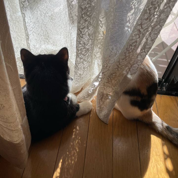 86e5e91e 2cd6 4358 a768 11f3b34ffb89 1664584387770