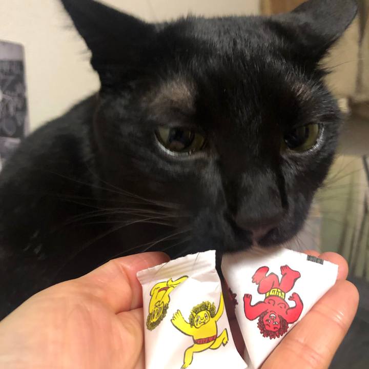 86e630b7 bb71 4212 9297 f2920093a0cd 1581687087829