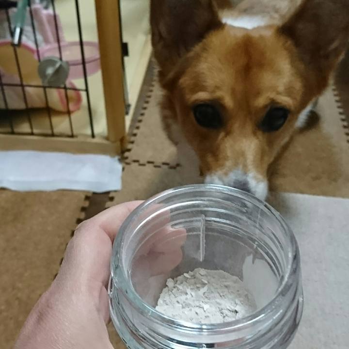 86e67621 e0f3 4d4a 94d2 6a0843e1cc82 1543330987174