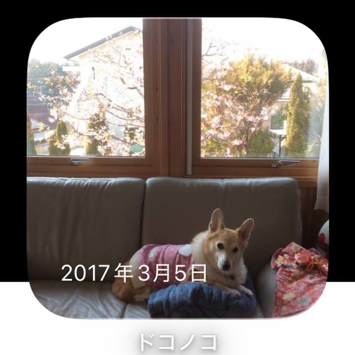 86e67fb7 e77d 4089 9c91 6063c9e86cdc 1772897339027