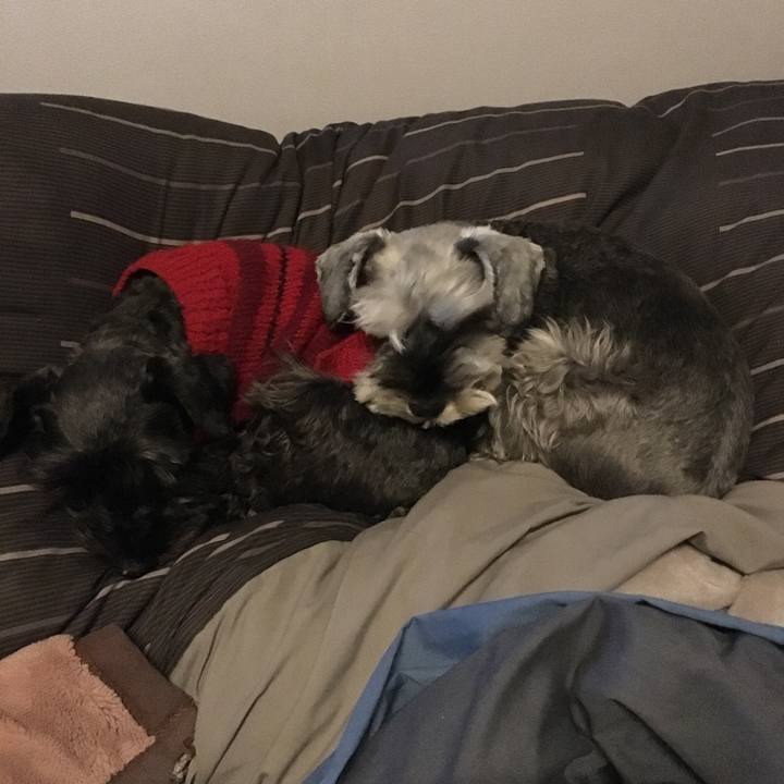 86e69c0c c25c 4b61 9a52 4addd3d1b66e 1550850057143