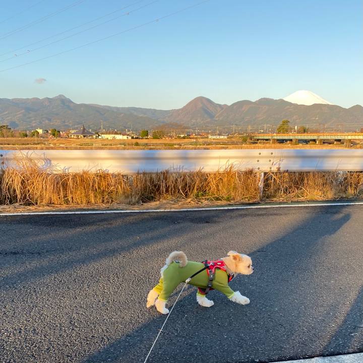 86e6b283 290b 4723 92f6 72501bf7ccd4 1613446315971