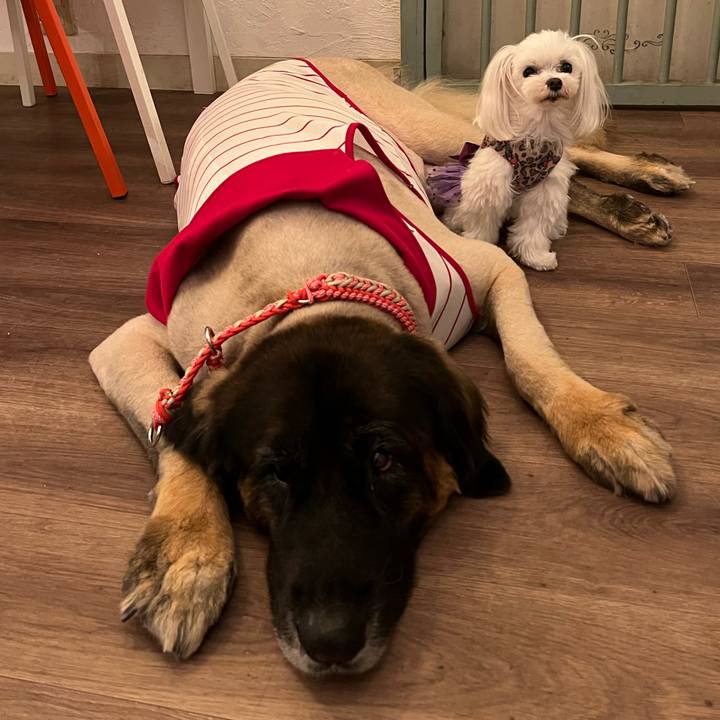 86e6d2b1 59c5 4295 8845 f837d89a5b76 1697069357810