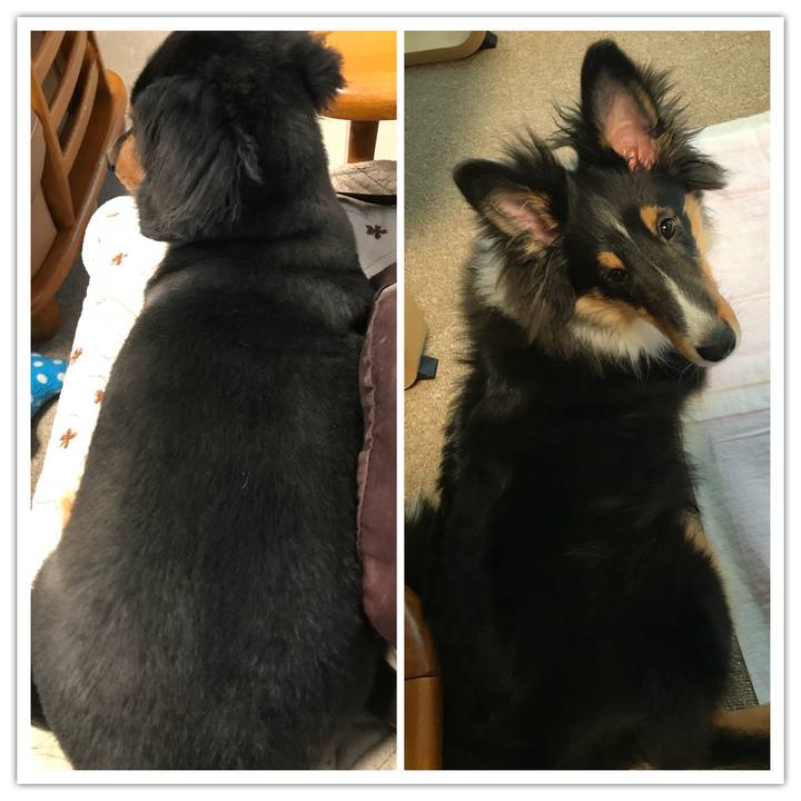 86e72287 bd16 46c2 a6eb 7218a5a8e5ff 1517867645871