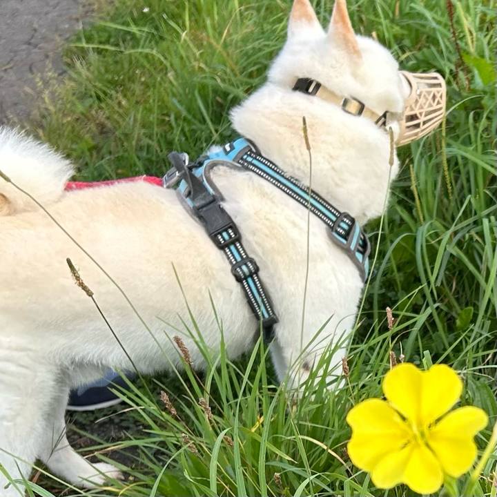 86e7329a 0ea4 47ce 8635 7216a67719c9 1758243522914