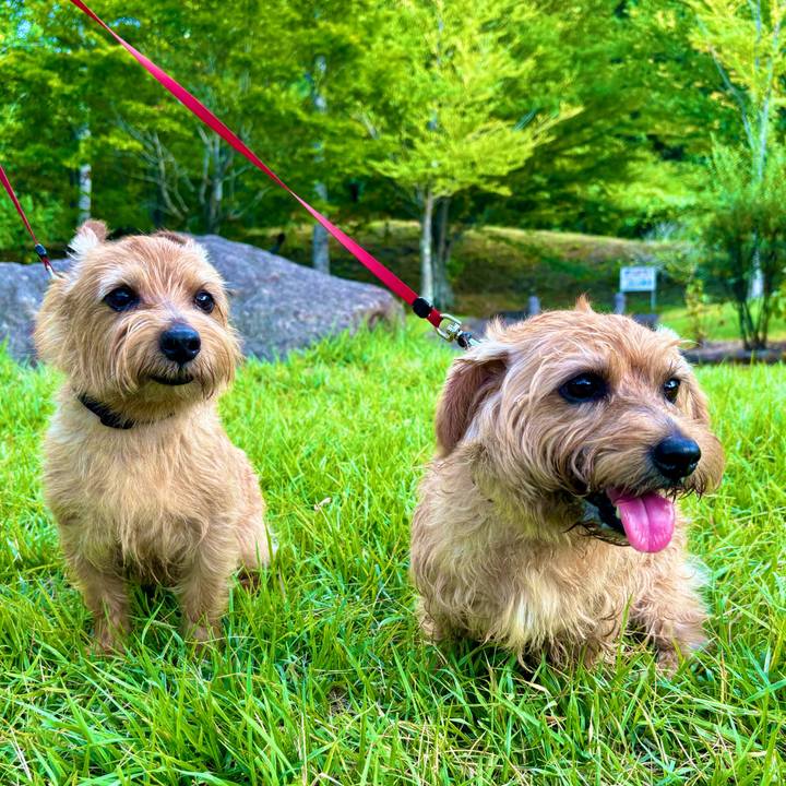 86e762fc b56f 42d1 9489 0473fd3e01af 1763815137180