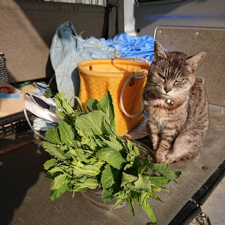 86e77b95 7d08 46f6 8172 6266466ef74b 1584747442201