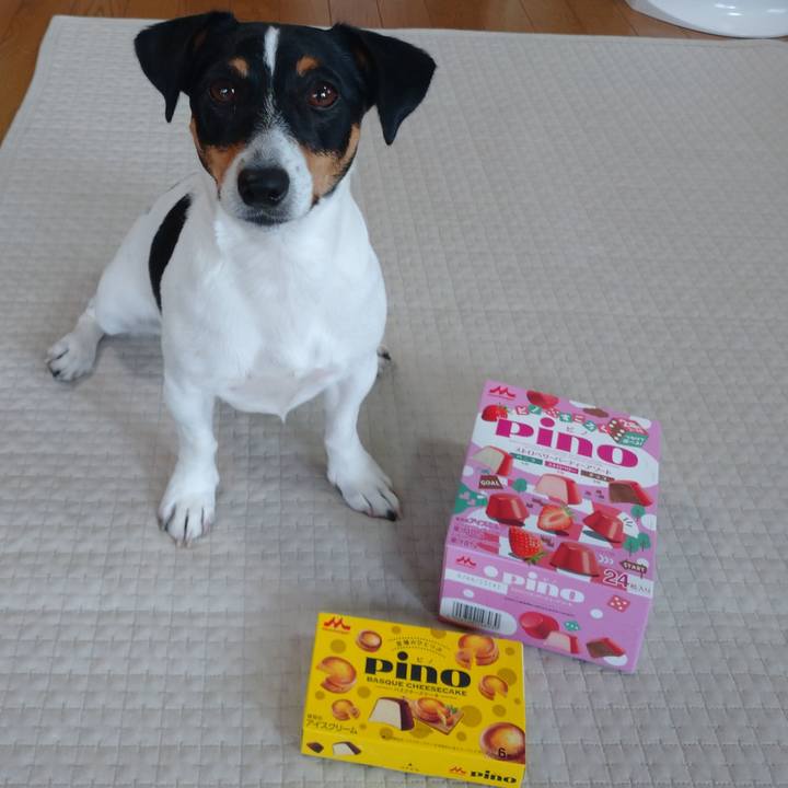 86e78e72 38a5 4a8b 9b93 f656fc9fe8d6 1637225284127