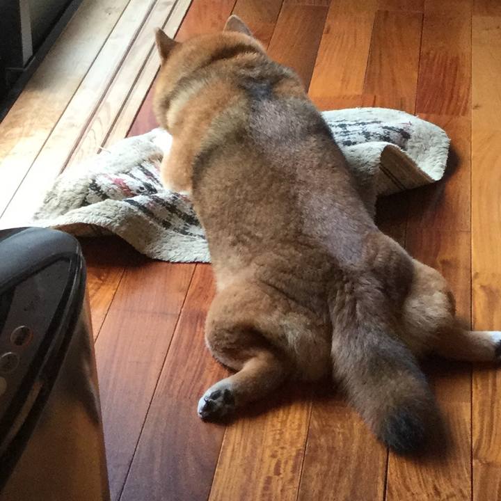 86e7ae9b 2412 4622 a77c 68da1a09da90 1618371827593