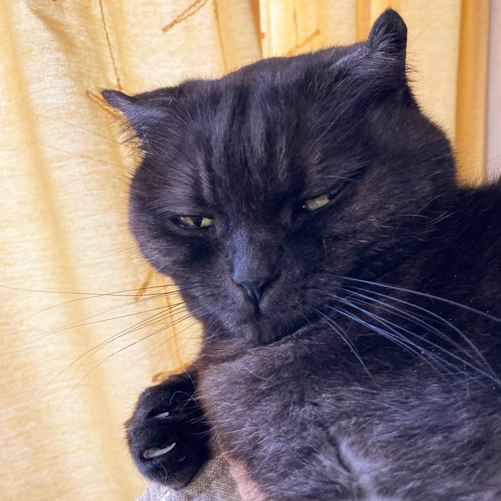 86e7c461 dff5 452d 9638 446390ef9f33 1589687969084