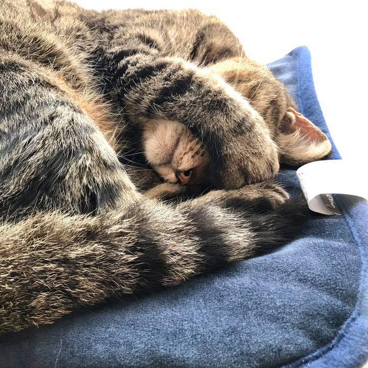 86e8053b 3500 447f ab1b 0182f4cb30e4 1617155927586