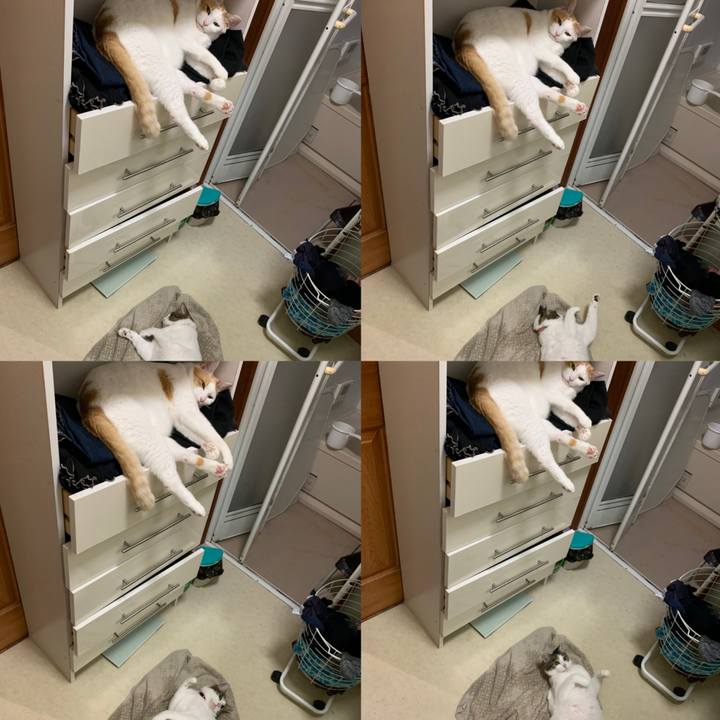 86e810f1 6b9e 4628 b429 f0ea6597bba6 1592226324570