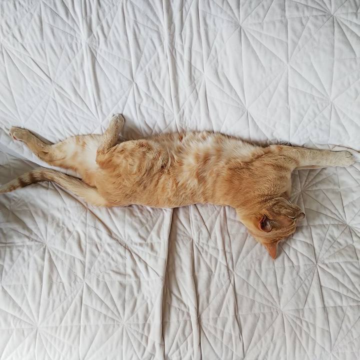 86e83878 5ace 409a 92c2 ac038ba5f5ef 1683258938523