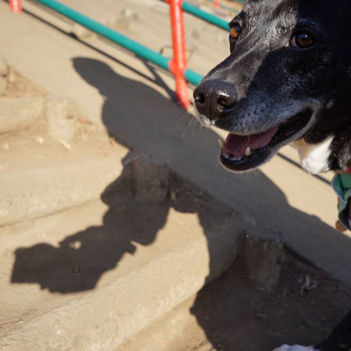 86e85ec5 de66 4208 8c0e ffee28a36b72 1771634439807