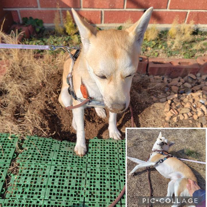 86e86f92 6527 459c 858c 1139a0bb500a 1770883331518