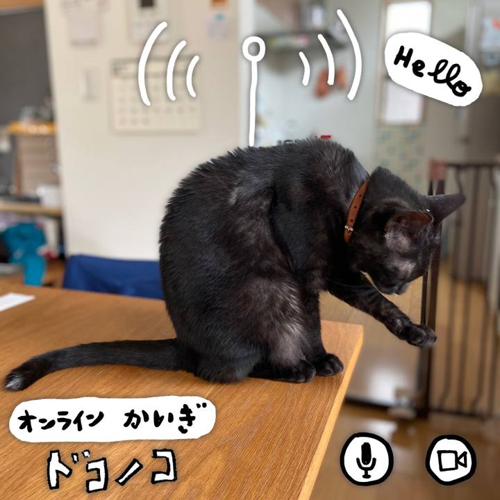 86e87837 4c7d 4703 a0fc 885dd6e1c4bd 1591346032360