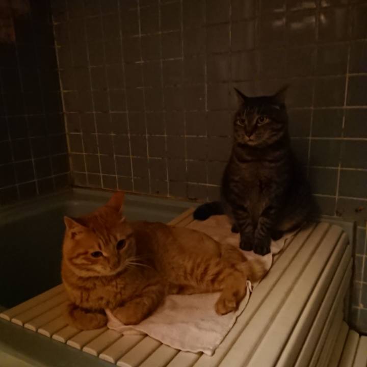 86e87d2c 6f6b 4c5e 8ab9 f12308d1d663 1655811564189