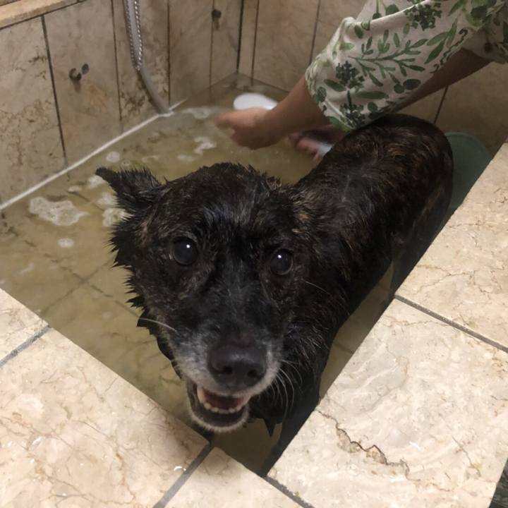 86e891e3 b28a 4aa7 b2c0 b6dbf7c751ef 1534808077350