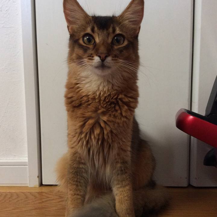 86e8dfa3 8b14 4f2b afe4 4d4f67e86400 1567555143765