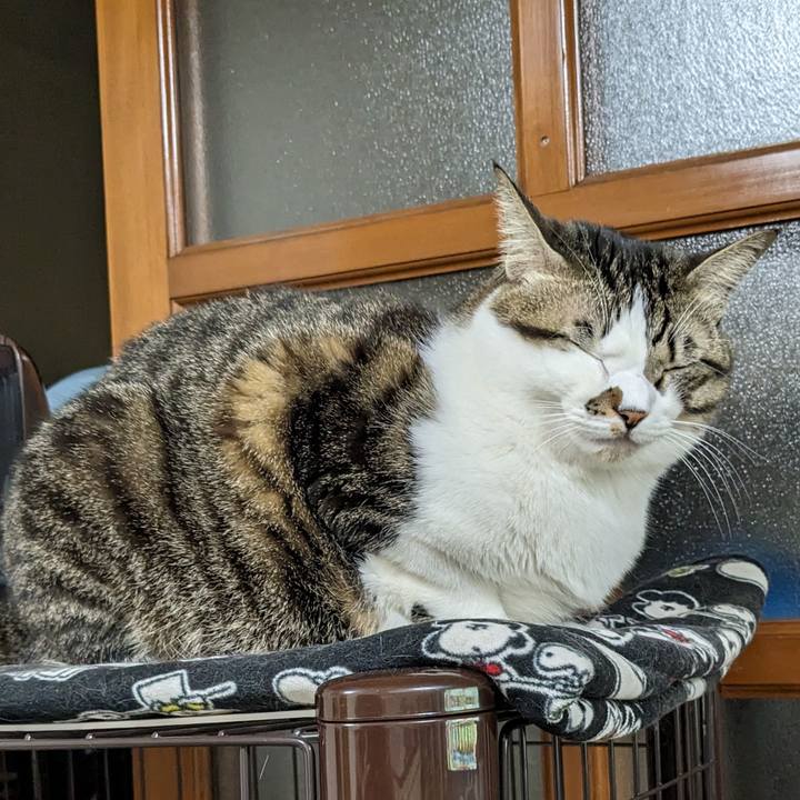 86e8e0e6 03f7 44a0 98e0 93adf1703fa6 1671359972356