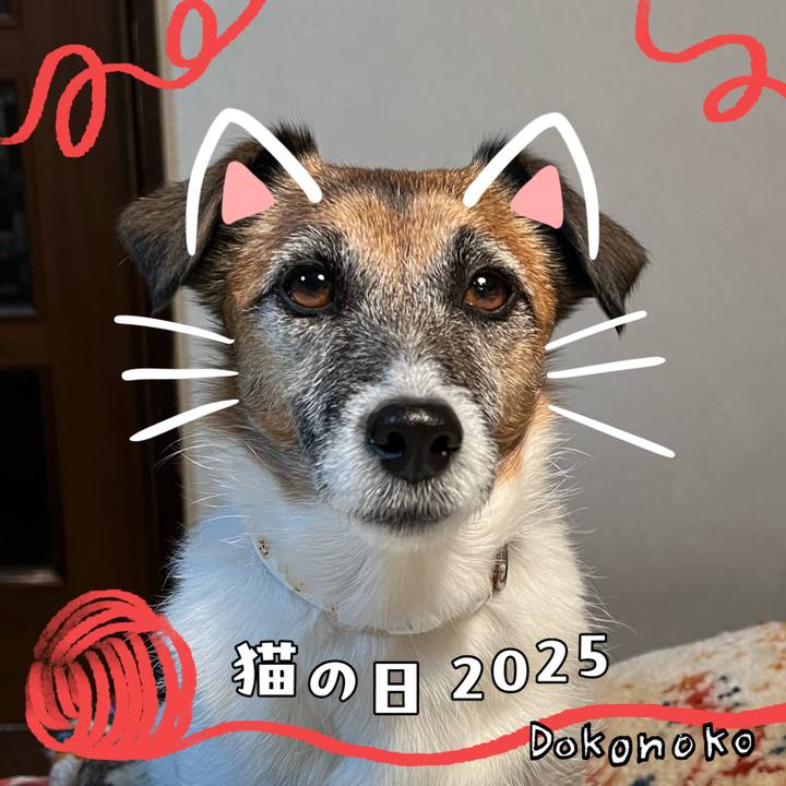 86e8e5d0 52e8 44c2 a3d8 a7e9d107aa2d 1740128350821