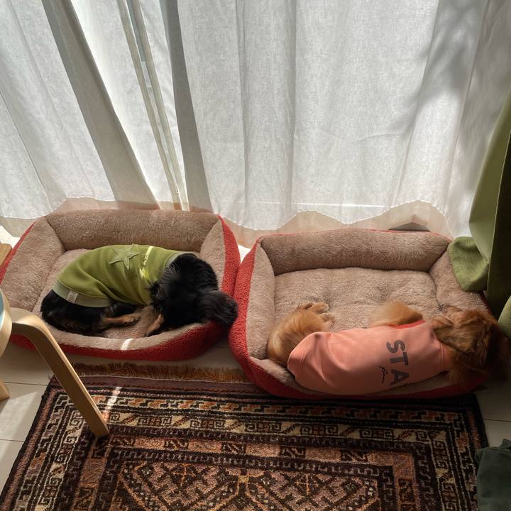 86e91028 0fd8 4c97 820f d79b96b9c2e9 1699019595804