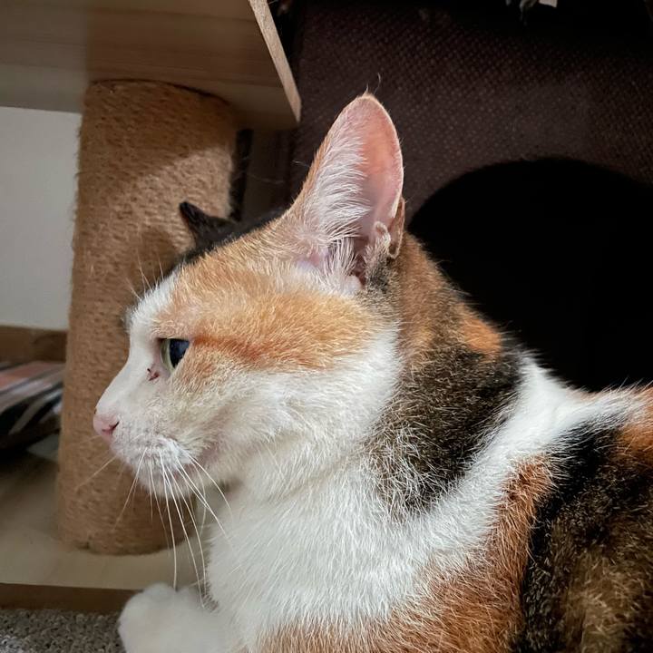 86e9359c 2870 42d6 911e 111c5f5b5282 1720297802885