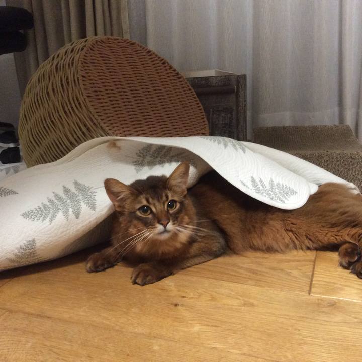 86e93bdb 2fa7 49b7 a3c4 4bcd88925237 1615812707562