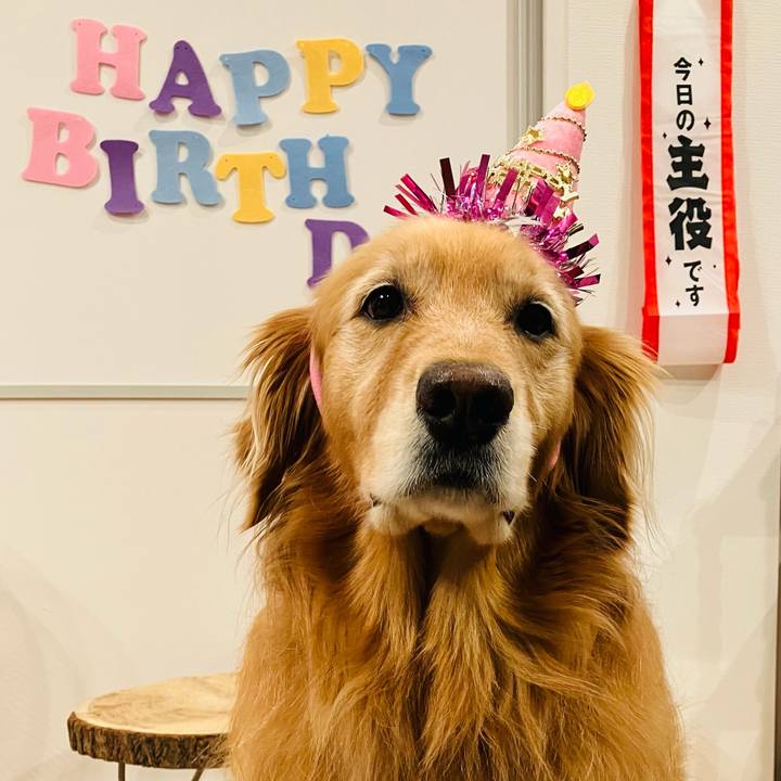 86e94aba e8e4 4ebf 87c0 7bc380652890 1723828659694