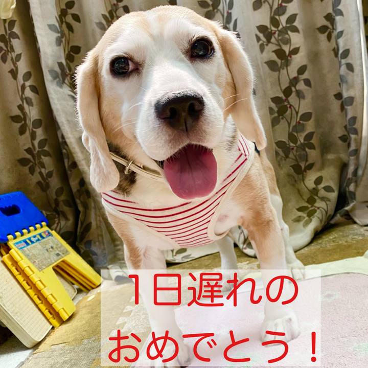 86e96885 1ac2 47be 9ed0 e7d00b24acbb 1630294755577