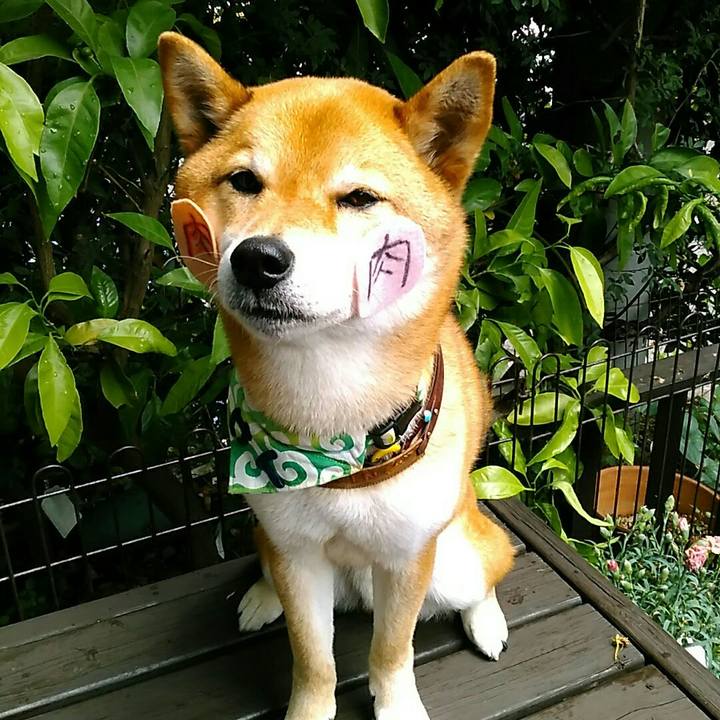 86e96c19 4f63 4aa0 8229 7c99959ef5e4 1559101157697