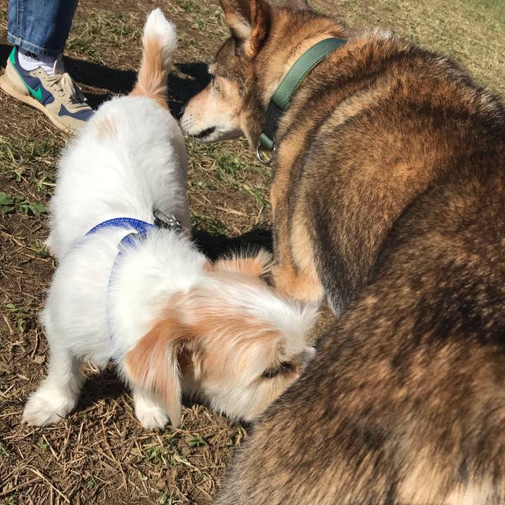 86e9c4fe bd96 4ca9 a308 79a2e5bf3b2b 1542024639391