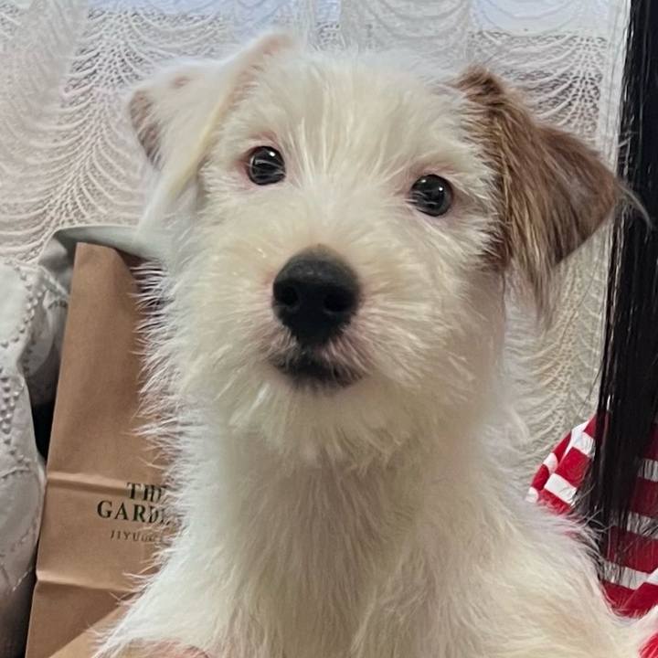 86e9c793 e9ac 4441 b50c 18a872966061 1728821534165