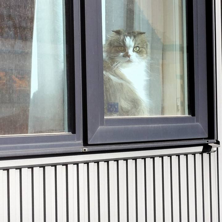 86e9e38f ad73 44ea 8960 1b7b89c7155e 1763594254644