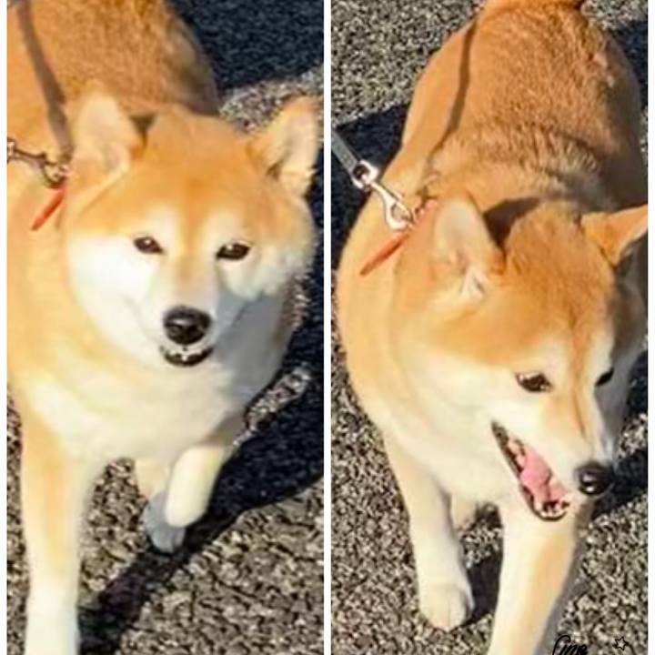 86e9ecaf 62cf 42c4 8e85 bd316211c8d5 1614351022289