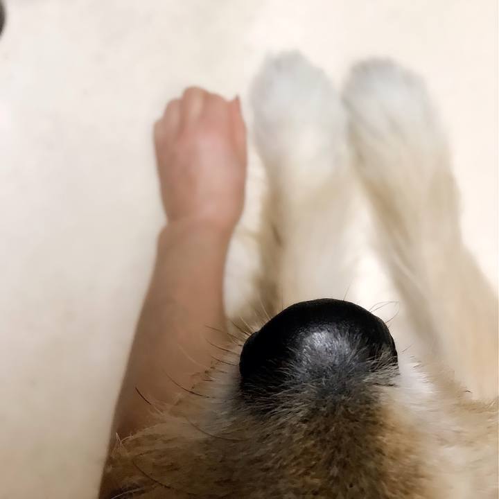 86e9ff0b 150f 4c77 879e ade74a42d657 1637014069655