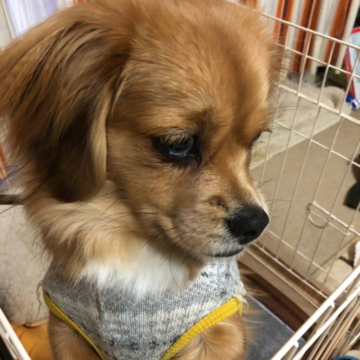 86ea6dee 2d9b 4231 8378 9162e73e1487 1513892574231